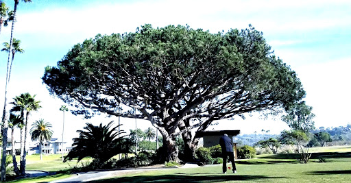 Resort «Morgan Run Club & Resort», reviews and photos, 5690 Cancha De Golf, Rancho Santa Fe, CA 92091, USA