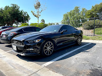 Dubz Detail - Photo 8 - Car repair in , San Diego