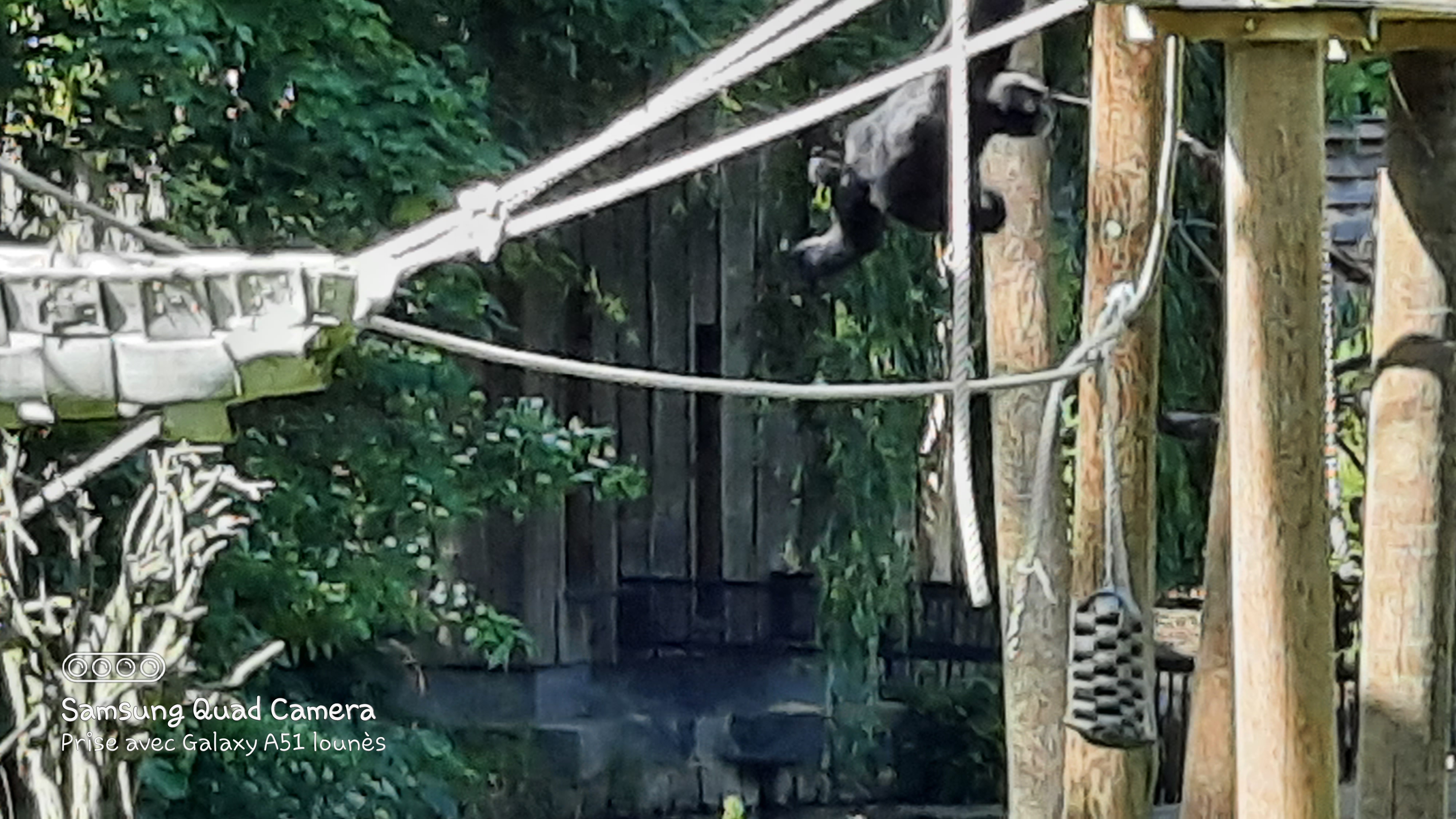 Photo n° 22 de l'avis de Lounes. fait le 02/06/2021 à 21:26