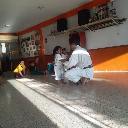 Clases de jiu jitsu en Maracay