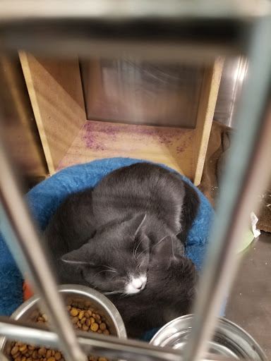 Pet Supply Store «PetSmart», reviews and photos, 8460 Tamarack Village, Woodbury, MN 55125, USA