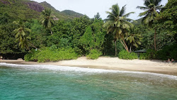 Photo de Anse Major Beach entouré de montagnes