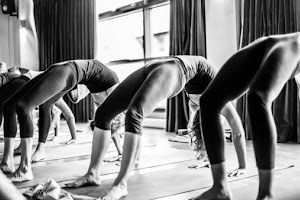 Sangye Yoga - Jivamukti Affiliate London