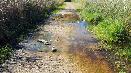 Park «French Regional Park», reviews and photos, 12605 Rockford Rd, Plymouth, MN 55441, USA