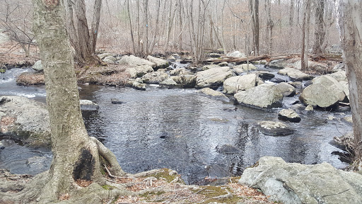 Nature Preserve «The New Weis Center for Education, Arts & Recreation», reviews and photos, 150 Snake Den Rd, Ringwood, NJ 07456, USA