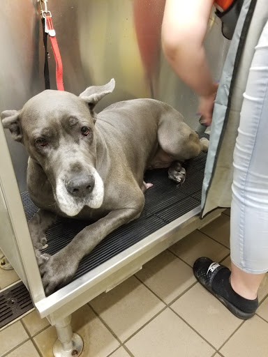 Pet Supply Store «Pet Supplies Plus», reviews and photos, 2424 W State St, Alliance, OH 44601, USA