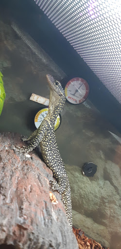 Pet Supply Store «Petco Animal Supplies», reviews and photos, 200 McMahan Blvd, Marion, OH 43302, USA