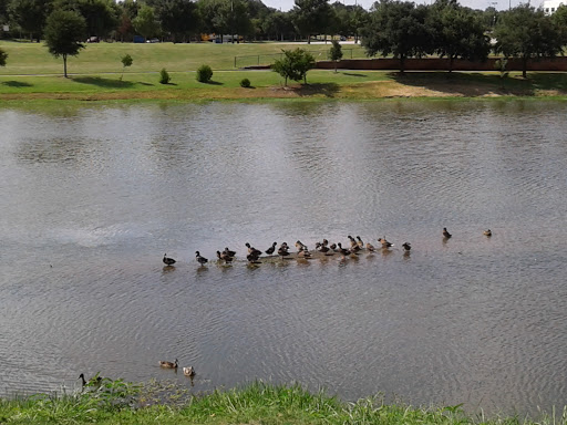 Park «Richard Greene Linear Park», reviews and photos, 1601 E Randol Mill Rd, Arlington, TX 76011, USA