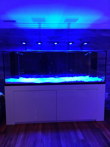 Pet Store «Ocean View Aquariums», reviews and photos, 6883 SW 40th St, Miami, FL 33155, USA