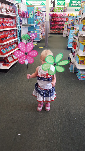 Dollar Store «Dollar Tree», reviews and photos, 2455 W International Speedway Blvd #900, Daytona Beach, FL 32114, USA