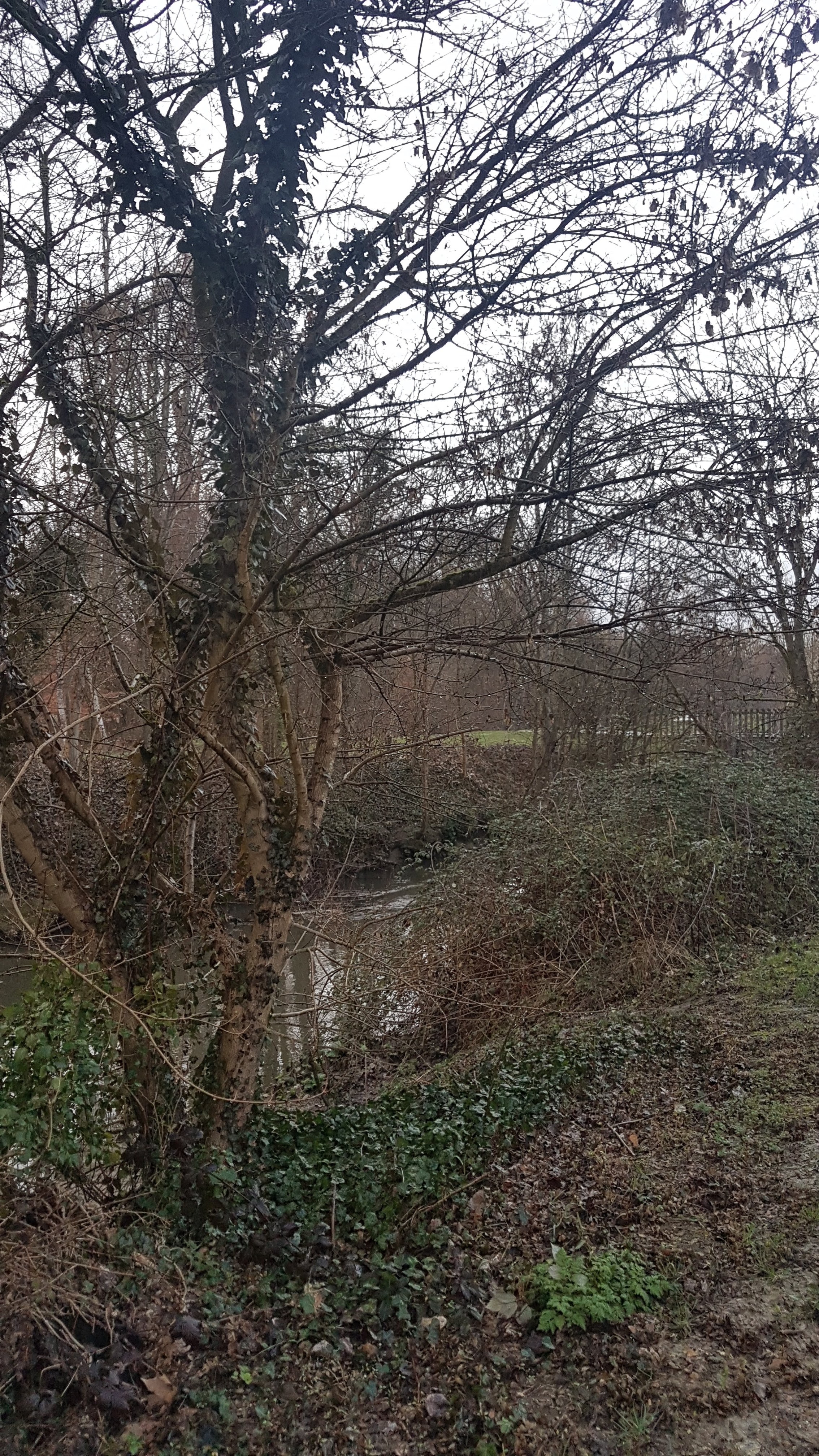 Photo n° 9 de l'avis de Jean-marie.o fait le 06/03/2019 à 12:51