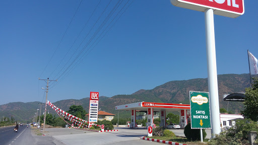 Lukoil-Arslan Akaryakıt