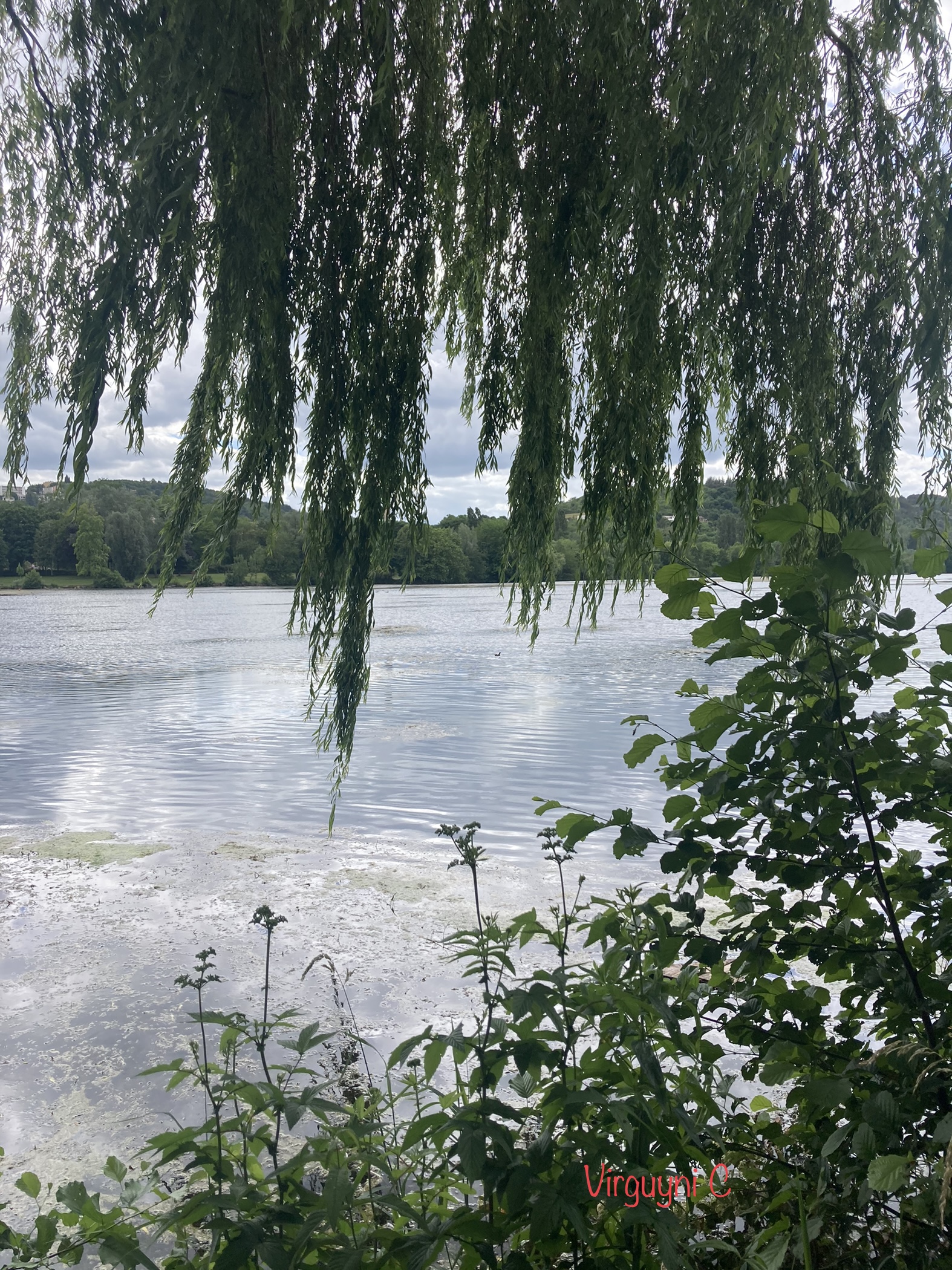 Photo n° 4 de l'avis de Virginie.n fait le 10/06/2022 à 08:34