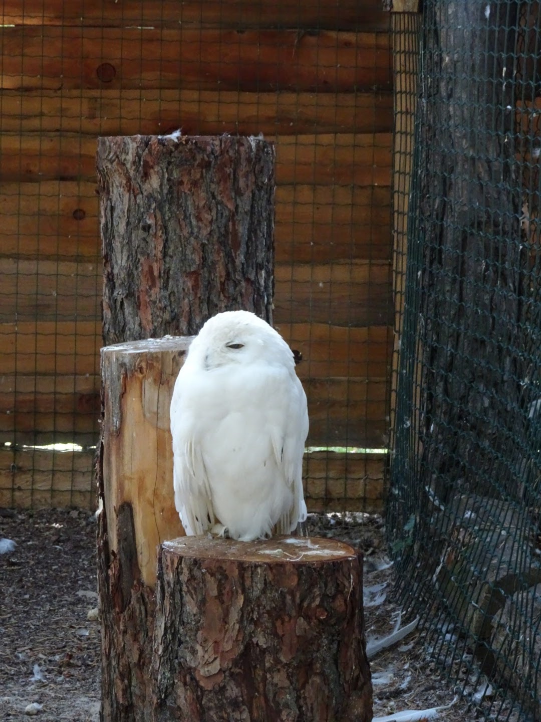 Photo n° 14 de l'avis de Romain.o fait le 17/08/2017 à 11:56