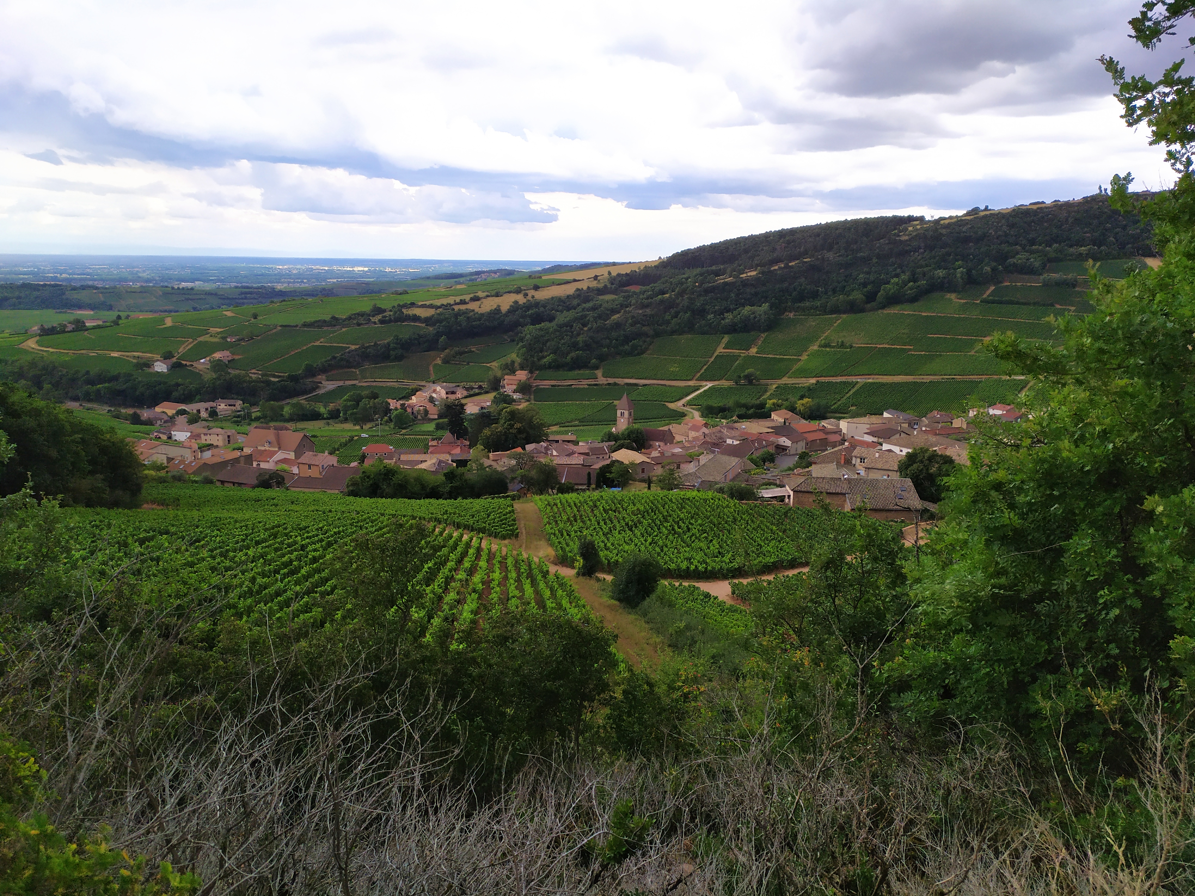 Photo n° 2 de l'avis de Françoise.e fait le 03/08/2020 à 21:09