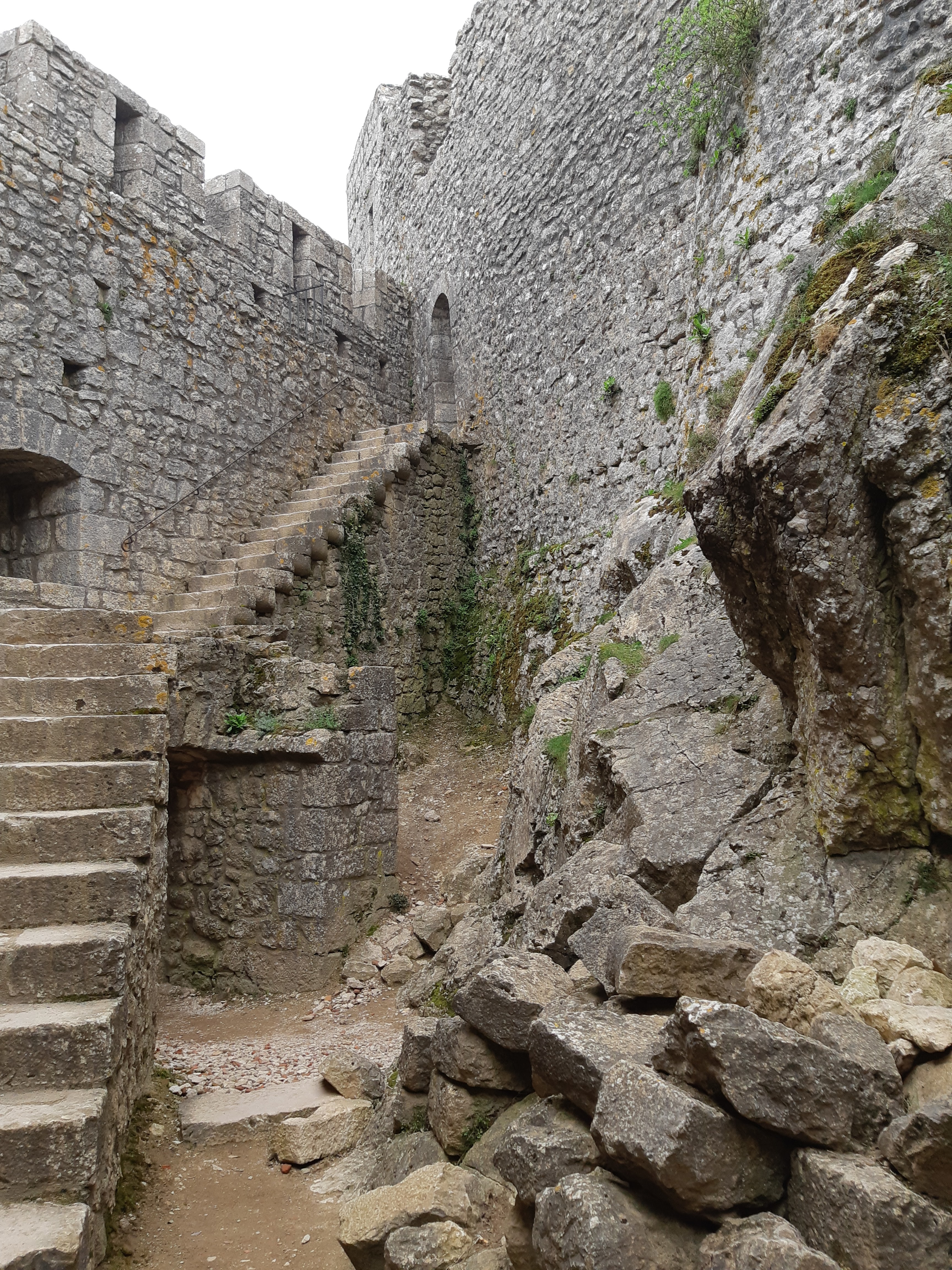 Photo n° 5 de l'avis de Olive.. fait le 22/04/2019 à 16:32