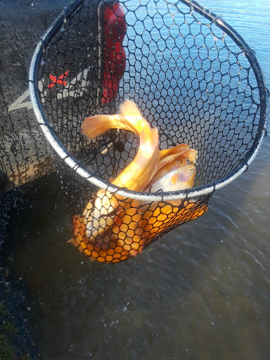 Fishing Store «Indian Creek Fishing & Fire Arms», reviews and photos, 3479 Mango Dr, Danielsville, PA 18038, USA