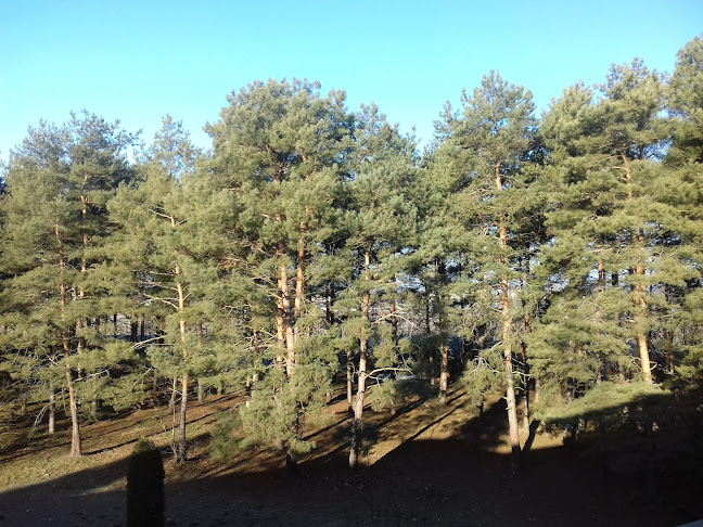 Termál Üdülőszövetkezet 1 - Bük