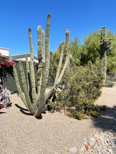 Golf Club «Phoenician Golf Club», reviews and photos, 6000 E Camelback Rd, Scottsdale, AZ 85251, USA