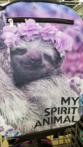 Variety Store «Five Below», reviews and photos, 14215 Hall Rd, Shelby Charter Township, MI 48315, USA