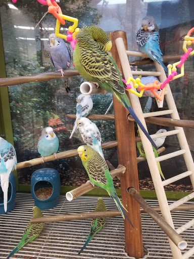 Pet Supply Store «Petco Animal Supplies», reviews and photos, 22000 Dulles Retail Plaza #110, Sterling, VA 20166, USA