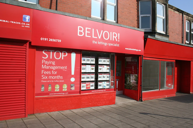Reviews of Belvoir Newcastle Central in Newcastle upon Tyne - Real estate agency