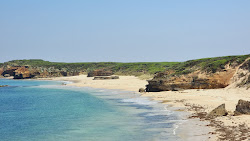 Photo de Bay Of Martyrs avec rivage droit, long