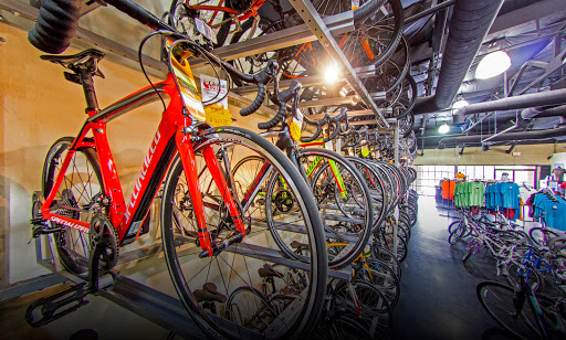 Bicycle Store «Global Bikes - Ahwatukee Bike Shop», reviews and photos, 3636 E Ray Rd #6, Phoenix, AZ 85044, USA