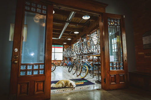 Bicycle Store «Full Moon Vista Bike & Sport», reviews and photos, 1239 University Ave, Rochester, NY 14607, USA