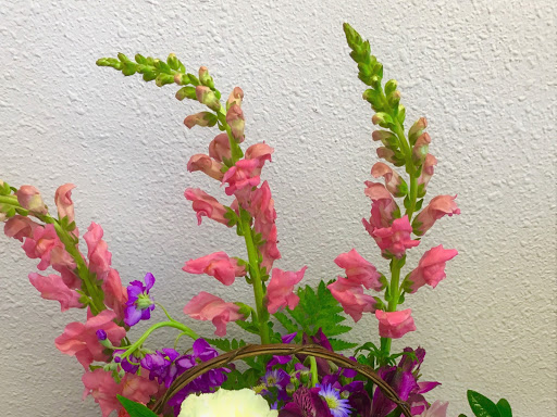 Florist «Forever Flowers», reviews and photos, 16728 E Smoky Hill Rd #11g, Centennial, CO 80015, USA