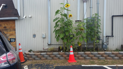 Bakery «Spring Garden Bakery & Coffee», reviews and photos, 1932 Spring Garden St, Greensboro, NC 27403, USA