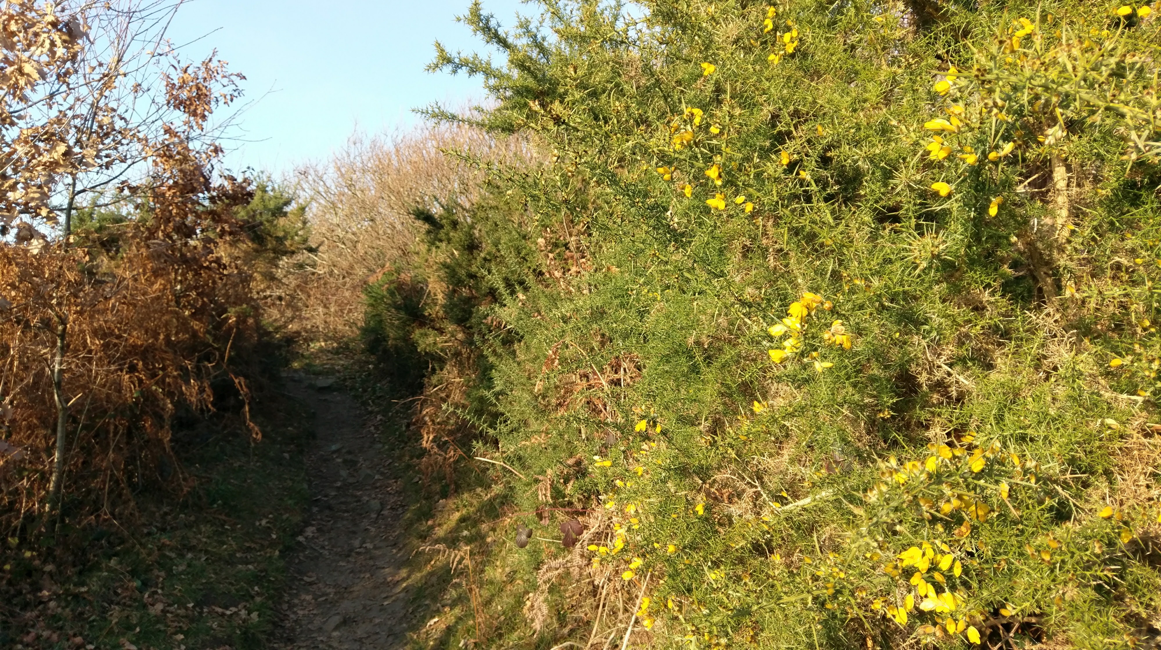 Photo n° 2 de l'avis de ME. fait le 08/01/2017 à 11:00