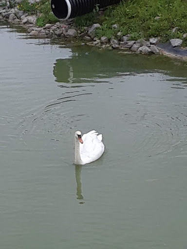 Restaurant «Hidden Valley Animal Adventure», reviews and photos, 2887 Royce Rd, Varysburg, NY 14167, USA