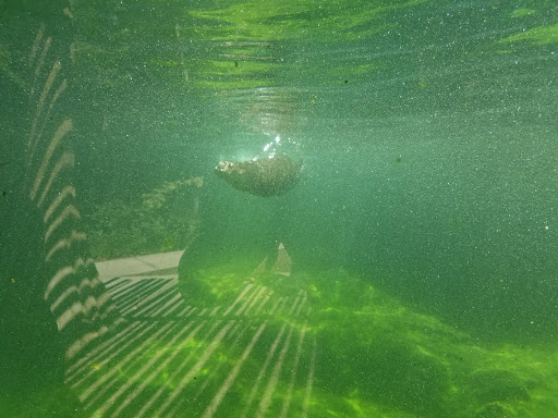 Zoo «Central Florida Zoo & Botanical Gardens», reviews and photos, 3755 NW Hwy 17-92, Sanford, FL 32771, USA