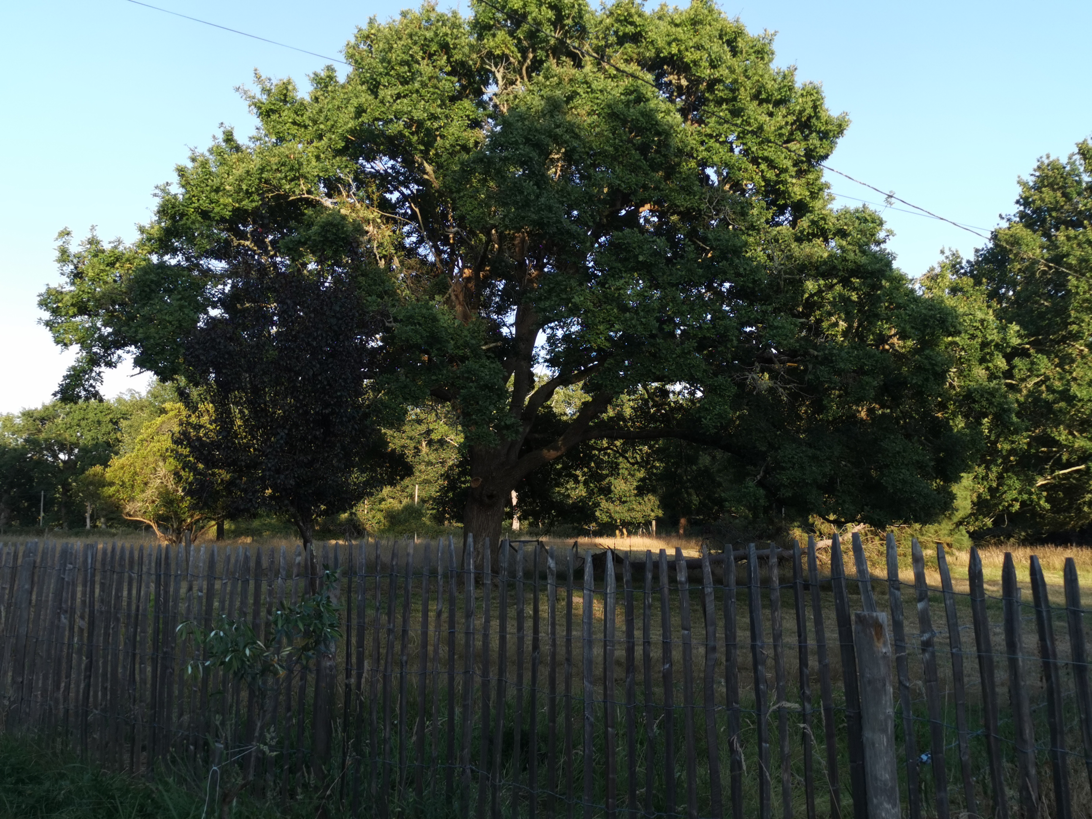 Photo n° 7 de l'avis de Marie.o fait le 16/07/2020 à 19:13