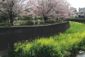 Maruike Zokibayashi Park image