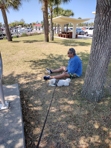 Park «Porter Park», reviews and photos, Michigan Ave, Lynn Haven, FL 32444, USA