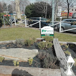 Photo n°5 de l'avis de Alessandro.o fait le 27/02/2019 à 09:03 sur le  Griglieria NICI à Caronno Pertusella