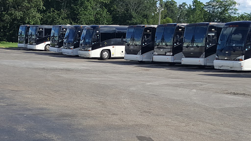 Bus Charter «Croswell VIP Motorcoach Services», reviews and photos, 975 W Main St, Williamsburg, OH 45176, USA