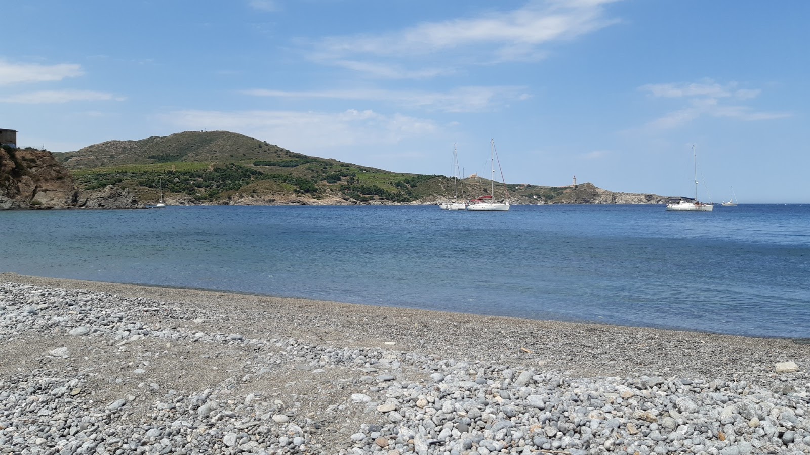 Photo of Plage del Forat with partly clean level of cleanliness