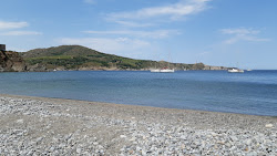 Foto von Plage del Forat wilde gegend