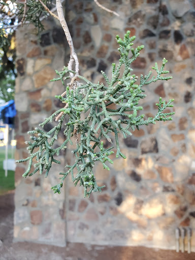 Amphitheater «American Fork Amphitheater», reviews and photos