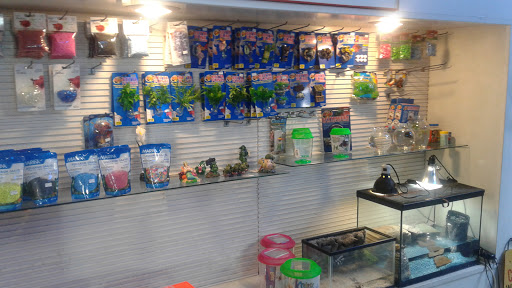 Pet Supply Store «Niagara Aquarium Co Inc», reviews and photos, 1345 Military Rd, Buffalo, NY 14217, USA