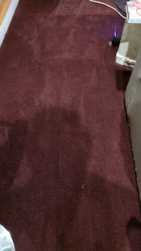 TCM Carpet Cleaning & Floors - Photo 3 - Car repair in , Greenville