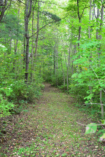 Museum «Fort Plain Museum», reviews and photos, 389 Canal St, Fort Plain, NY 13339, USA