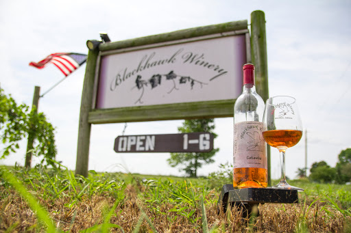 Winery «Blackhawk Winery», reviews and photos, 28153 W Ditch Rd, Sheridan, IN 46069, USA