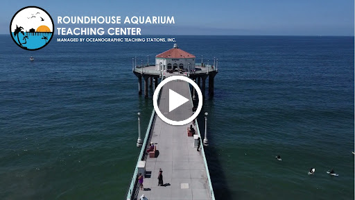 Aquarium «Roundhouse Aquarium», reviews and photos, Manhattan Beach Pier, Manhattan Beach, CA 90266, USA