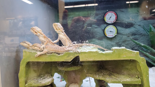 Pet Supply Store «Petco Animal Supplies», reviews and photos, 2911 W Main St, Bozeman, MT 59718, USA