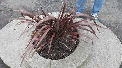 Park «Mill Ends Park», reviews and photos, 56 SW Taylor St, Portland, OR 97204, USA