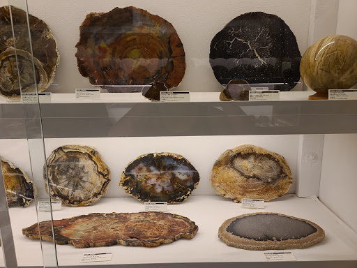 Natural History Museum «Rice Northwest Museum of Rocks & Minerals», reviews and photos, 26385 NW Groveland Dr, Hillsboro, OR 97124, USA